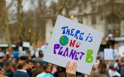 Are you expecting a demonstration at your event?